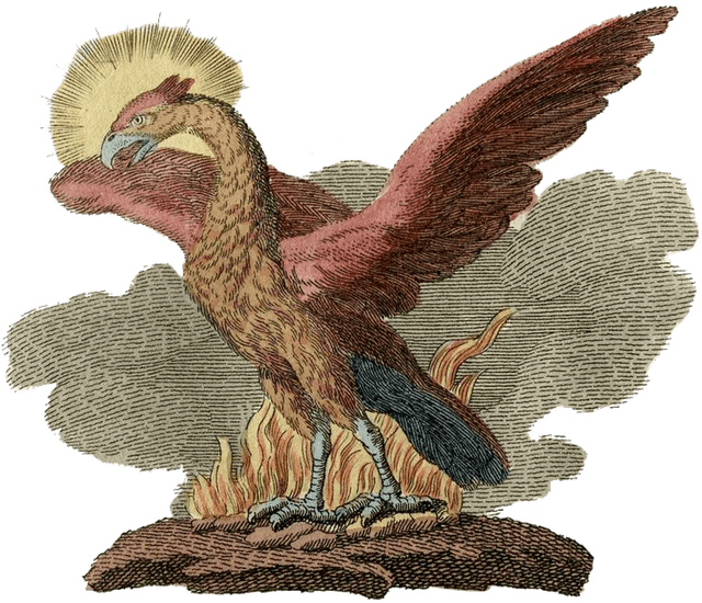 fenix